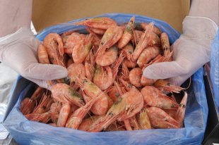 На Камчатке рыбную компанию оштрафовали за мышьяк в треске - «Финансы»