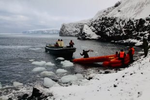 Экспедиция нацпарка "Русская Арктика" встретила двух белых медведей - «Финансы»