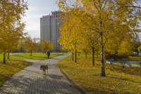 В Гидрометцентре спрогнозировали первые заморозки - «Финансы»