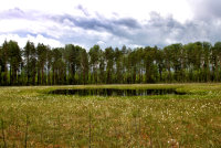 Два обломка Сихотэ-Алинского метеорита продали на аукционе Christie's - «Финансы»