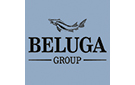 Финансовые результаты первого полугодия 2020 года компании Beluga Group - «Финансы»