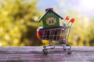 Эксперт назвала самые популярные антикризисные программы среди бизнеса - «Финансы»