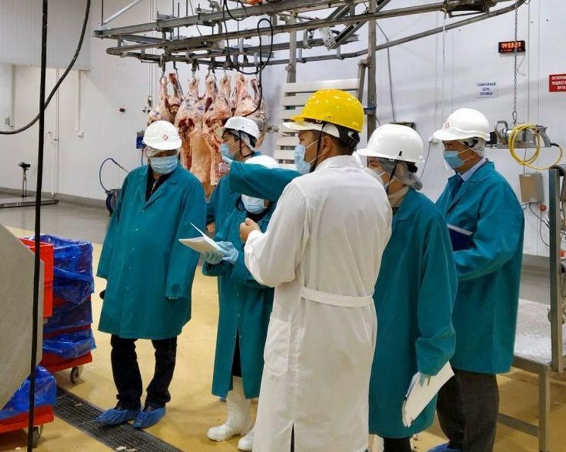 Минсельхоз начал инспектировать мясоперерабатывающие предприятия - «Экономика»