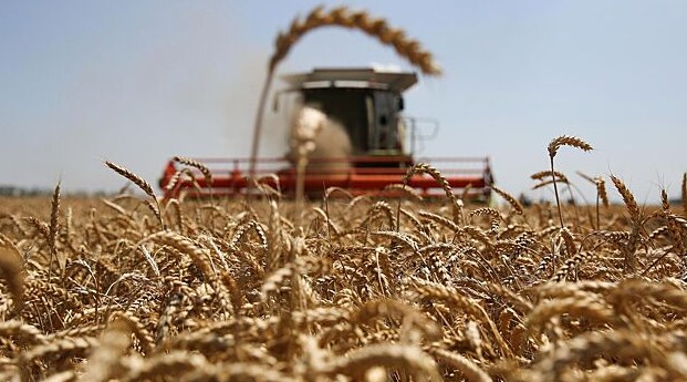 Алтайские фермеры отправят часть урожая вновые регионы России - «Экономика»