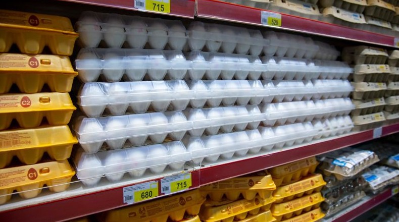 Правительство не собирается восстанавливать субсидирование яйца - «Экономика»