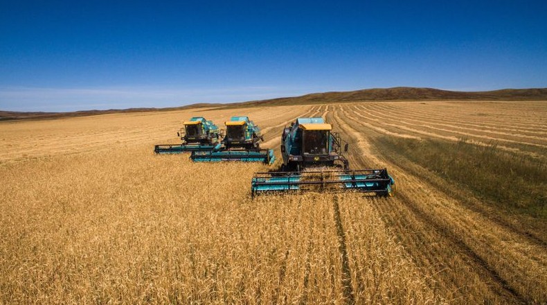 Казахстанские аграрии будут покупать дизель на 14,8% дешевле рыночной цены - «Финансы»