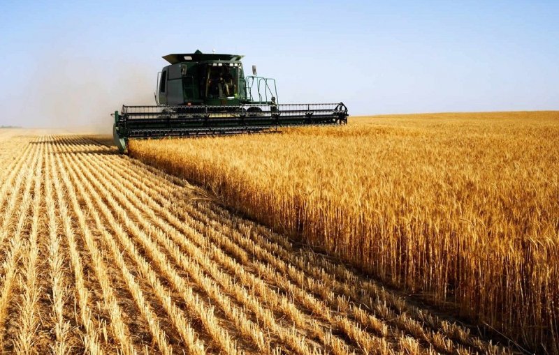 Минсельхоз Казахстана упростит субсидирование аграриев - «Экономика»