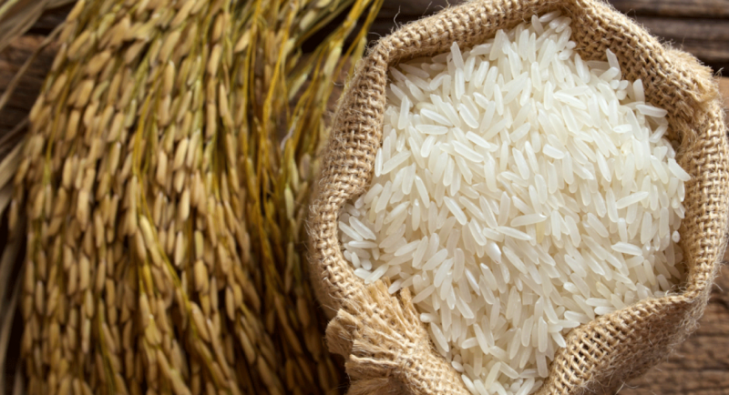 Снижение посевов риса может привести к росту импорта и цен - АЗРК - «Экономика»